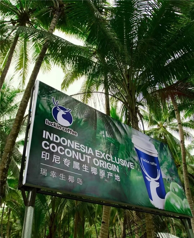 园区：解码瑞幸的“原产地集群”战略pg电子试玩从印尼椰岛到横州茉莉(图4)